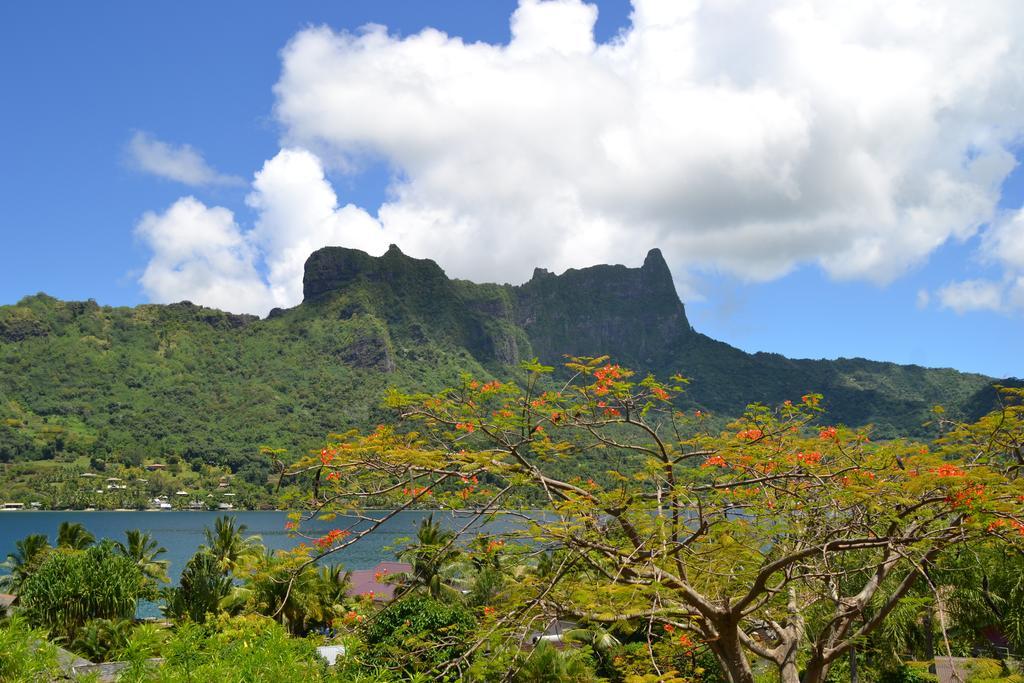 Te Fare Hinahei Daire Moorea Dış mekan fotoğraf