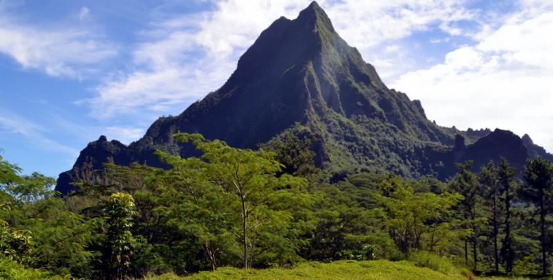 Te Fare Hinahei Daire Moorea Dış mekan fotoğraf