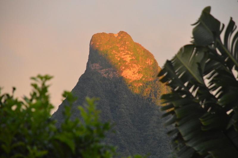 Te Fare Hinahei Daire Moorea Dış mekan fotoğraf